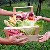 Plant A Row For The Hungry 