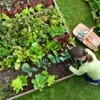Celebrate National Garden Month in April