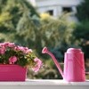 Tips for Watering Container Plants