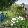 Designing With Perennials