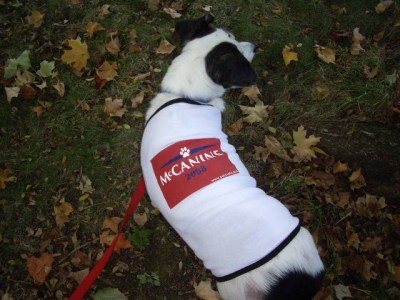 RE: Use T-Shirts To Make Cute Halloween Costumes