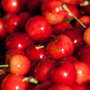 Good Cherries