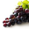 Bunch of Red Grapes