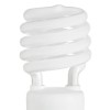 Compact Fluorescent Lightbulb