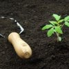 Hand shovel and tomato start in rich, black soil