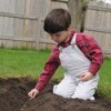 Boy sowing seeds in garden