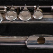 Flute Flutes