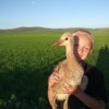Young Boy Holding up Baby Sandhill Crane
