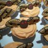 Bat cupcakes with cookie wings.