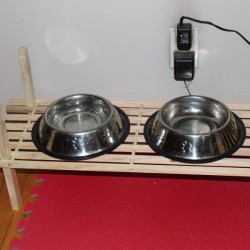 photo of Dog Dishes on a slat shoe shelf