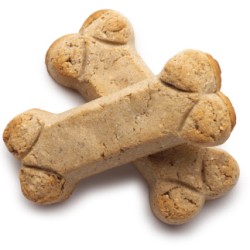 Two bone shaped dog biscuits