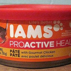 Bean dip lid on cat food can