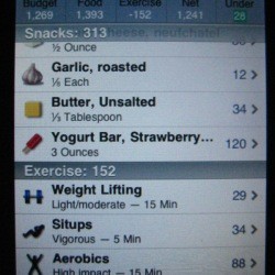 Photo of on screen diary, with calories eaten and burned based on type of exercise done and time spent.