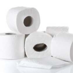 Rolls of Toilet Paper