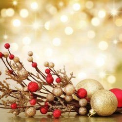 Preparing for Christmas