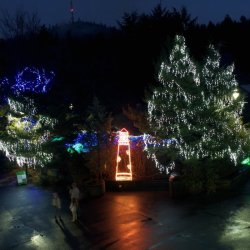 Oregon Zoolights