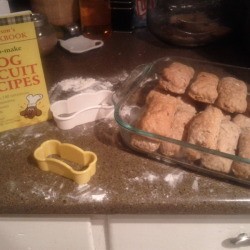 making dog treats