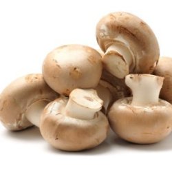 Small Pile of Button Mushrooms