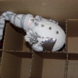 Photo of a box with an ornament in it.
