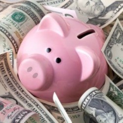 Piggy Bank Surrounded by Money