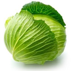 Growing Cabbage, Selecting Good Broccoli, Freezing Cabbage