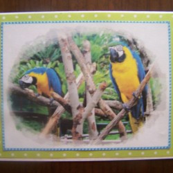  Card 4 of the completed set.