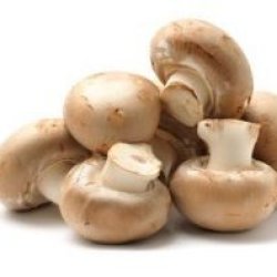 Growing Mushrooms, Cut mushrooms.