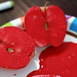 Apple Stamp covered in red paint