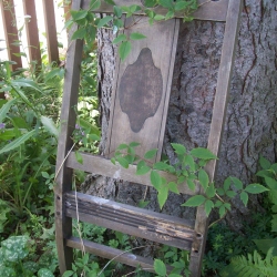 Reuse Chair Back As Trellis in the garden.