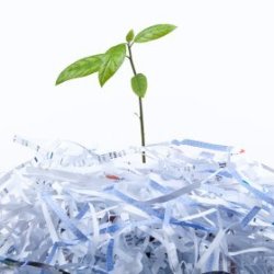 Uses for Shredded Paper, shredded paper
