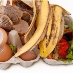 Photo of foodready to compost.