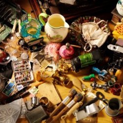 Pack rat collection