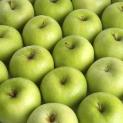 storing apples