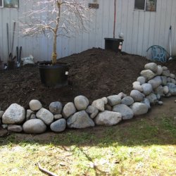 Garden Bed Rockery