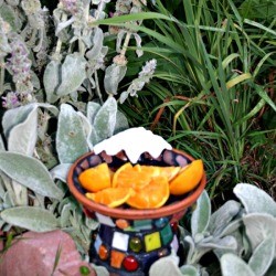 Homemade butterfly feeder in a garden