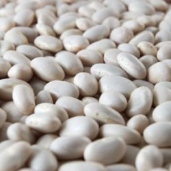 White Beans