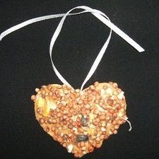 Earth Day bird biscuit