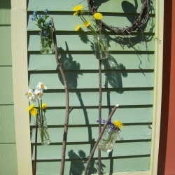 Recycled jar garden vases by the house.