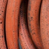 Old garden hose