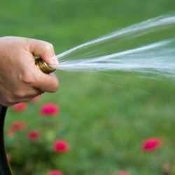 Watering the Garden
