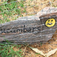 A rock painted as a garden marker.