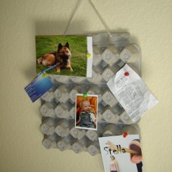 Bulletin board made from egg cartons
