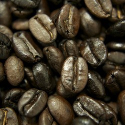 Roasted Coffee Beans