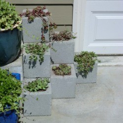 Cinder Block Step Planter - finished planter