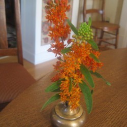 Mini vase from used brass door knob, inverted with branch inserted.