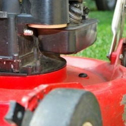 Photo of a push lawn mower.