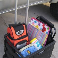 Roll around tote of pet info and supplies.