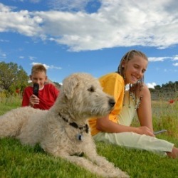 Licensing Your Pet