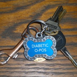 Using a dog tag for medical information.