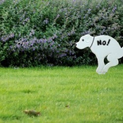 A no dog pooping sign in someone's lawn.